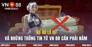 no hu la gi vn 88